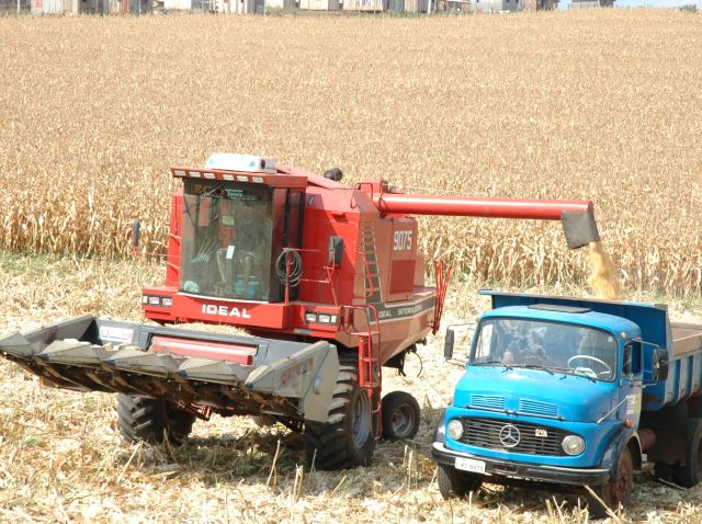 Foto: Divulgação/Epagri